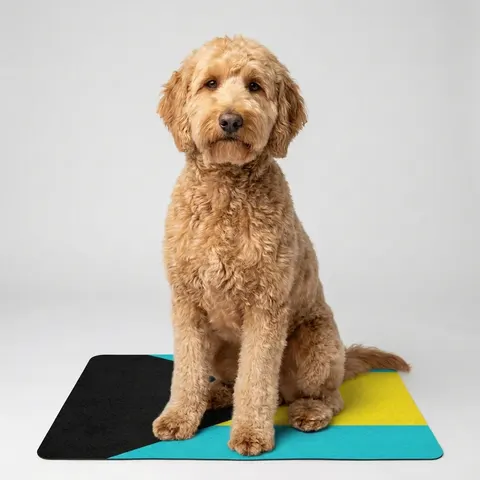 Bahamas Aqua Triangle Pet Food Mat (12x18)