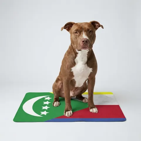 Comoros Green Triangle & Stripes