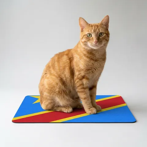 DR Congo Sky Blue & Red Diagonal Pet Food Mat (12x18)
