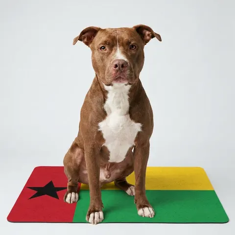 Guinea-Bissau Red Yellow Green Star
