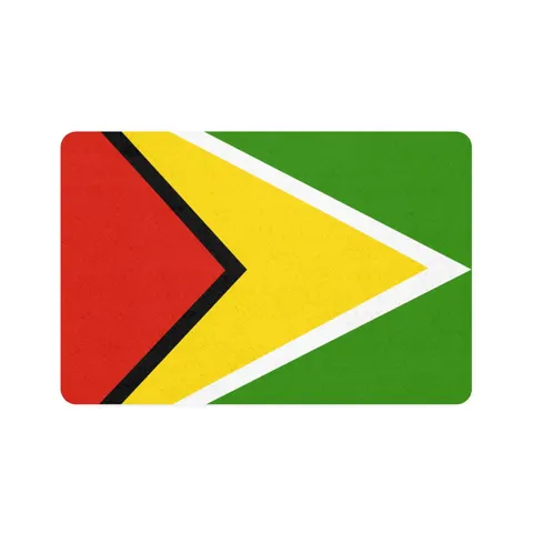 Guyana Arrowhead Design Pet Food Mat (12x18) — front view