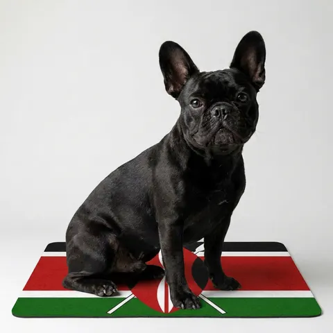 Kenya Black Red Green Stripes Pet Food Mat (12x18)