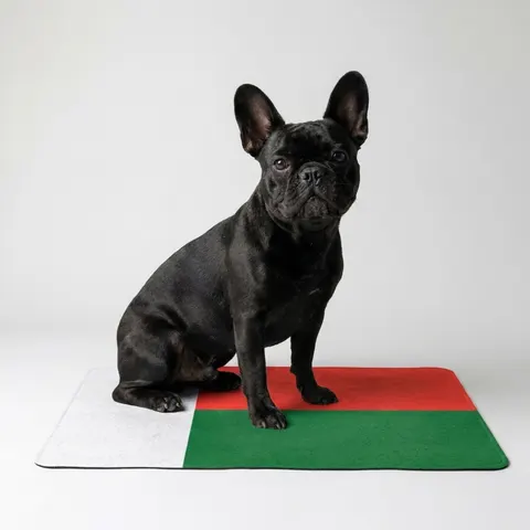 Madagascar White Red Green
