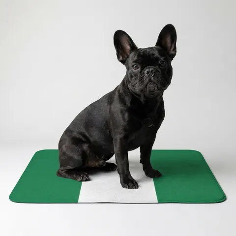 Nigeria Green & White Stripes Pet Food Mat (12x18)