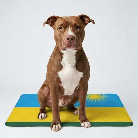 Rwanda Sky Blue & Sun Pet Food Mat (12x18)