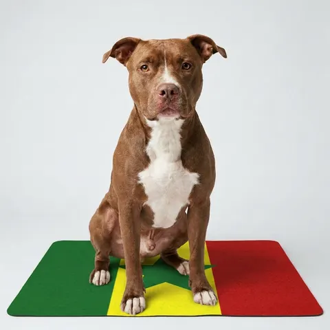 Senegal Green Yellow Red Pet Food Mat (12x18)