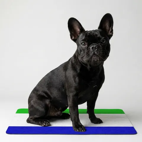 Sierra Leone Green White Blue Pet Food Mat (12x18)