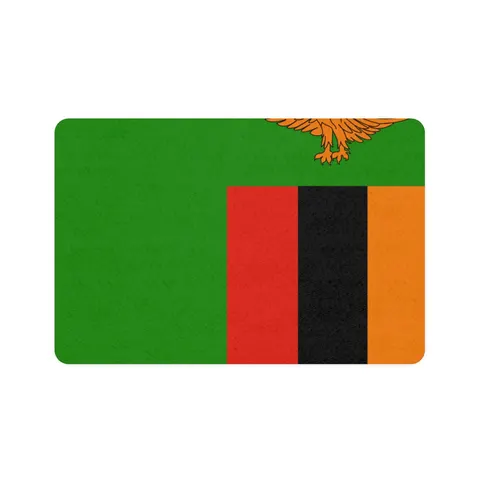 Zambia Green Field & Orange Eagle Pet Food Mat (12x18) — front view