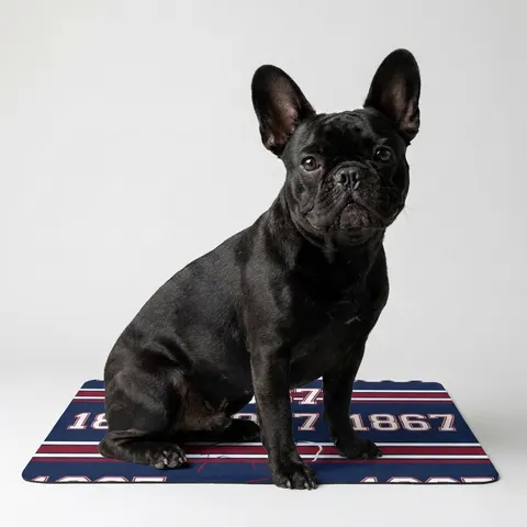 Howard 1867 Navy & Crimson Pet Food Mat (12x18)