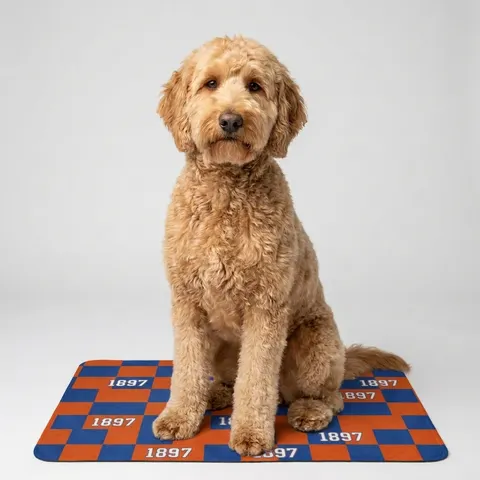 Langston 1897 Orange & Blue Pet Food Mat (12x18)