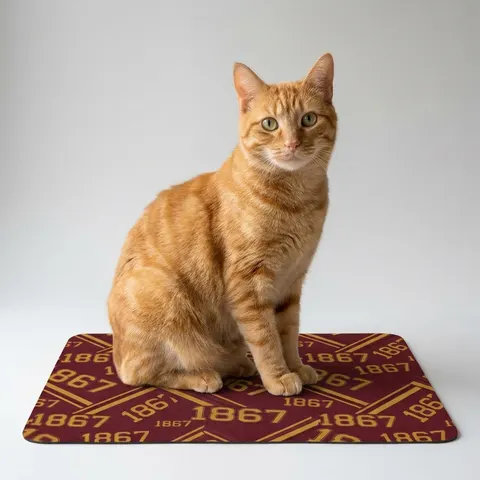 Morehouse 1867 Maroon & Gold Classic Pet Food Mat (12x18)