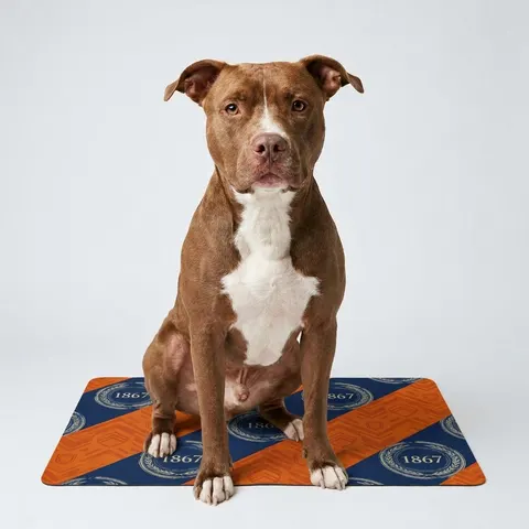 Morgan State 1867 Orange & Royal Pet Food Mat (12x18)