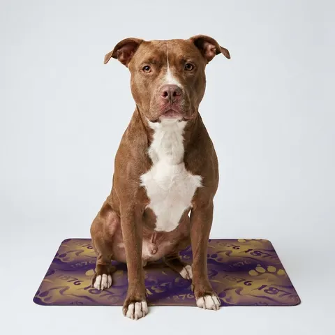 Prairie View 1876 Purple & Gold Pet Food Mat (12x18)