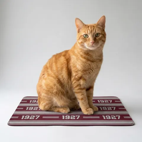 Texas Southern 1927 Maroon & Grey Pet Food Mat (12x18)