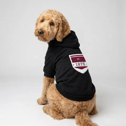 Alabama A&M 1875 Maroon & White