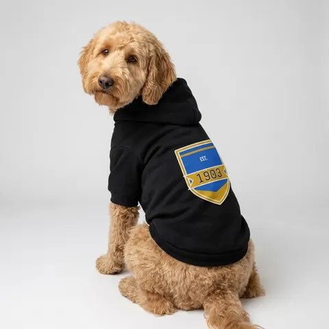 Albany State 1903 Blue & Gold Sunburst Pet Hoodie