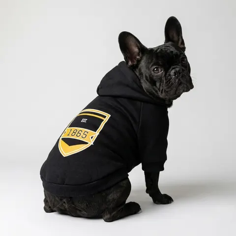 Bowie State 1865 Black & Gold Panel Pet Hoodie