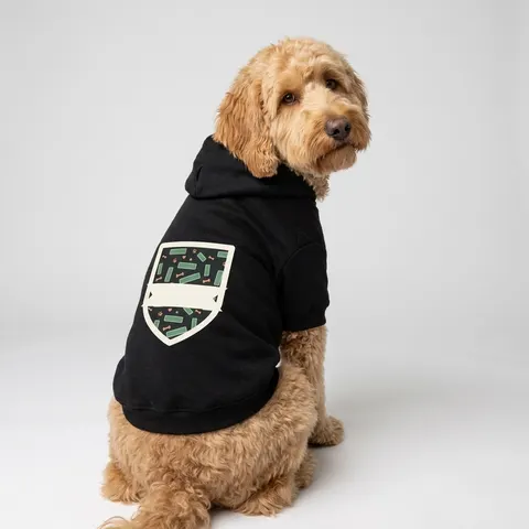 Atlanta Peachtree Signs Pet Hoodie