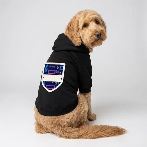 Detroit Motown Neon Pet Hoodie