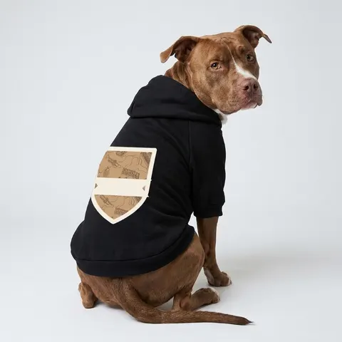 Harlem Brownstone Jazz Lines Pet Hoodie