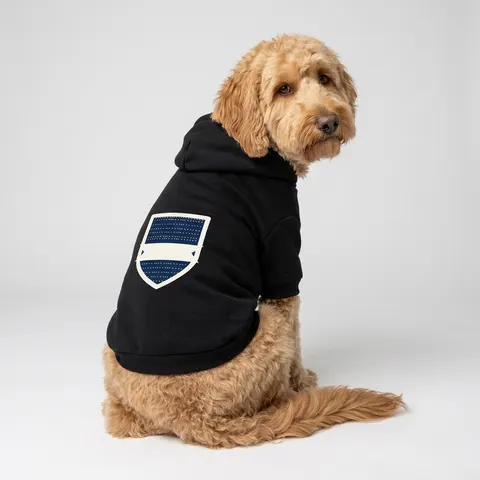 Inglewood Runway Lights Pet Hoodie