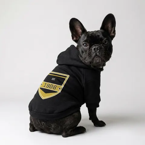 Alpha 1906 Black & Old Gold Pet Hoodie