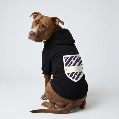 Faith Flag AME-Inspired Purple & Green Pet Hoodie