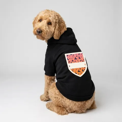 Faith Flag Black Church Sunrise Pet Hoodie