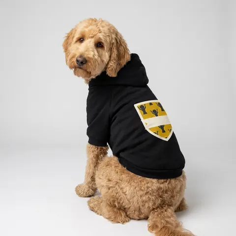 Faith Flag Black Woman in Praise Silhouette Pet Hoodie