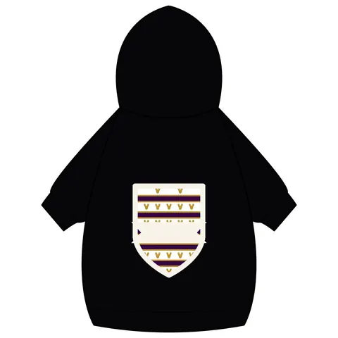Faith Flag Choir Robes Color Block Pet Hoodie — back_dtf view