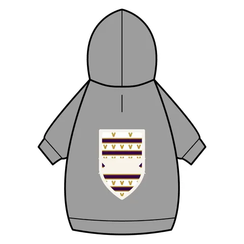 Faith Flag Choir Robes Color Block Pet Hoodie — back_dtf view