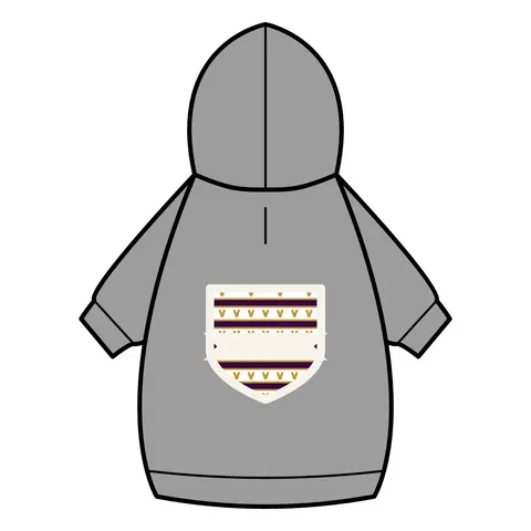 Faith Flag Choir Robes Color Block Pet Hoodie — back_dtf view