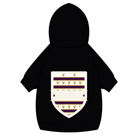 Faith Flag Choir Robes Color Block Pet Hoodie — back_dtf view