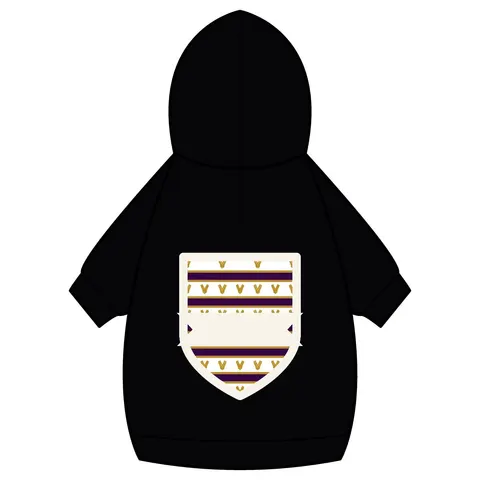 Faith Flag Choir Robes Color Block Pet Hoodie — back_dtf view