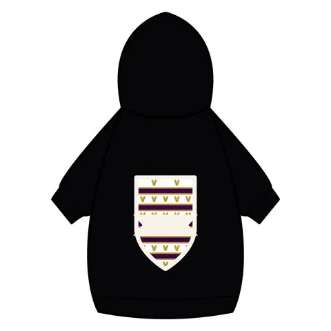 Faith Flag Choir Robes Color Block Pet Hoodie — back_dtf view