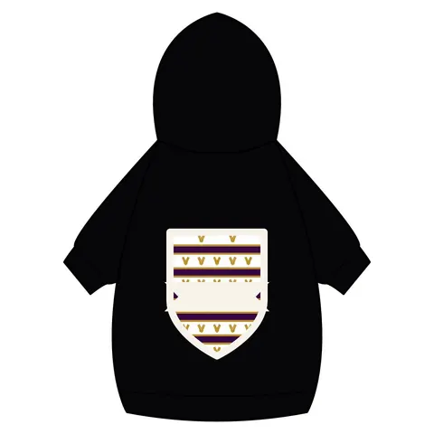 Faith Flag Choir Robes Color Block Pet Hoodie — back_dtf view