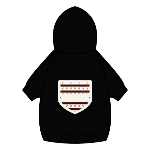 Faith Flag Choir Robes Color Block Pet Hoodie — back_dtf view