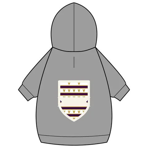 Faith Flag Choir Robes Color Block Pet Hoodie — back_dtf view