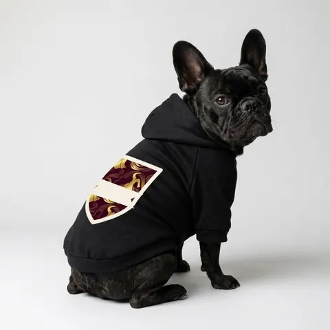 Faith Flag Gospel Choir Robes Pet Hoodie