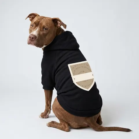 Faith Flag Multi-Faith Harmony Circle Pet Hoodie
