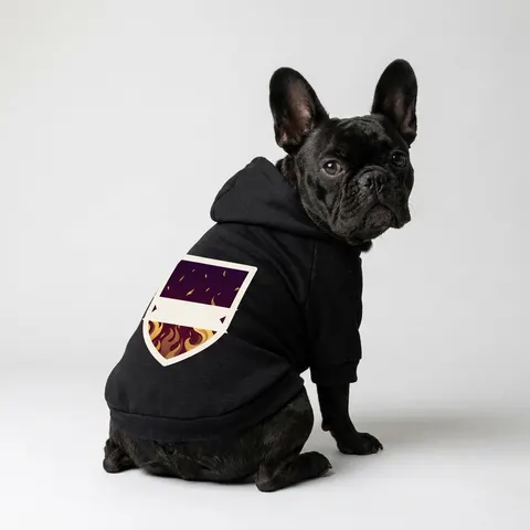 Faith Flag Pentecostal Fire Pet Hoodie