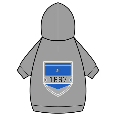 Fayetteville State 1867 Blue & Silver Pet Hoodie — back_dtf view