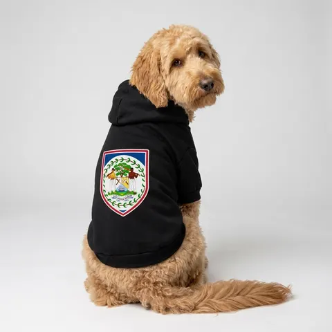 Belize Blue Red Emblem