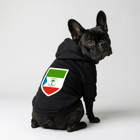 Equatorial Guinea Tricolor & Triangle
