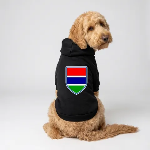Gambia Red Blue Green