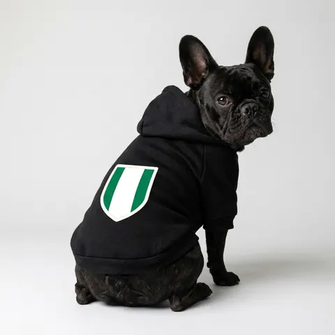 Nigeria Green & White Stripes Pet Hoodie