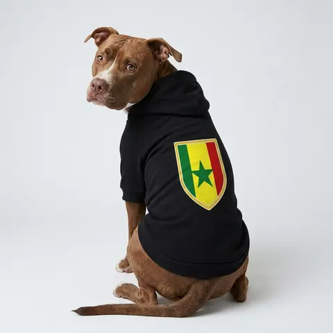 Senegal Green Yellow Red Pet Hoodie