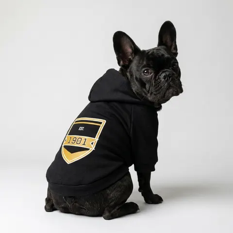 Grambling 1901 Black & Gold Edge Pet Hoodie