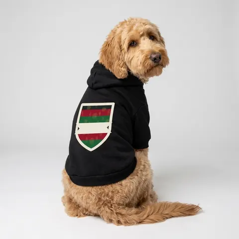 Holiday Kwanzaa Karamu Colors Pet Hoodie