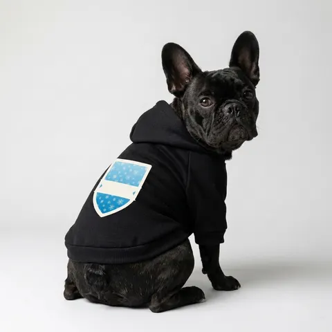 Holiday Snowflake All-Over Pet Hoodie